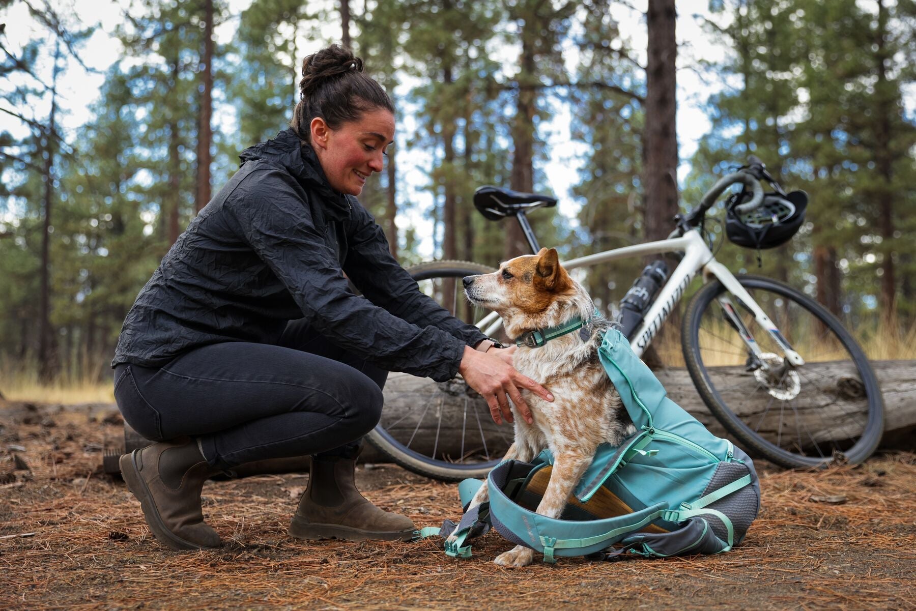 Hitch Hiker™ Dog Backpack Carrier (Ruffwear) - SnowPaw Store - Ruffwear - Active Human Gear